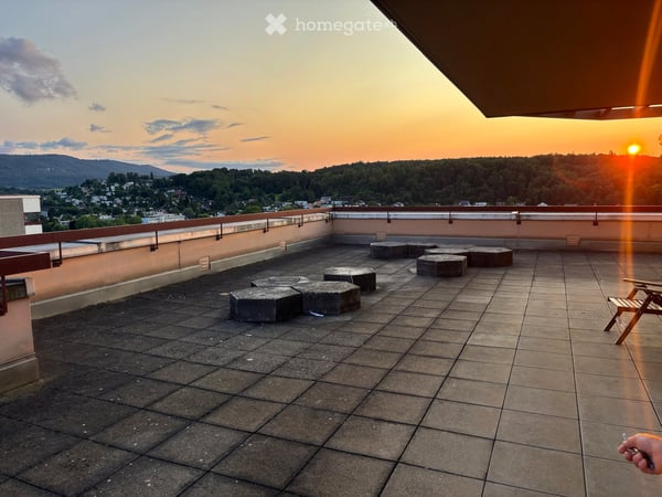 Frisch renovierte 4.5-Zimmer-Wohnung mit traumhafter Aussicht und grosser Dachterrasse in Reinach BL