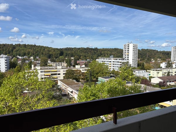 Frisch renovierte 4.5-Zimmer-Wohnung mit traumhafter Aussicht und grosser Dachterrasse in Reinach BL 2