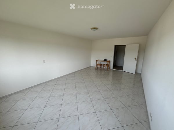 Frisch renovierte 4.5-Zimmer-Wohnung mit traumhafter Aussicht und grosser Dachterrasse in Reinach BL 17