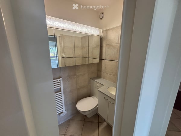 Frisch renovierte 4.5-Zimmer-Wohnung mit traumhafter Aussicht und grosser Dachterrasse in Reinach BL 9