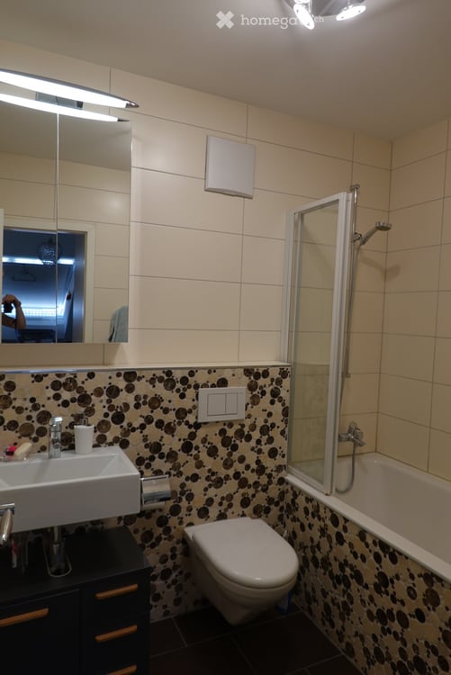 Duplex-/Maisonette-Wohnung in Basel (Gundeldinger-Quartier) 8