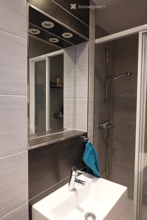 Duplex-/Maisonette-Wohnung in Basel (Gundeldinger-Quartier) 9