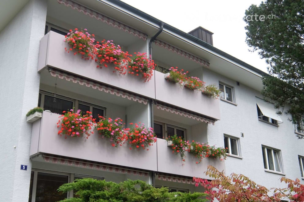 Multi-story residential building with balconies adorned with colorful flower boxes, white facade, and neatly trimmed greenery at the base.