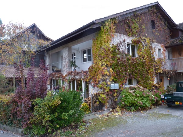 Einfamilienhaus in Freudwil