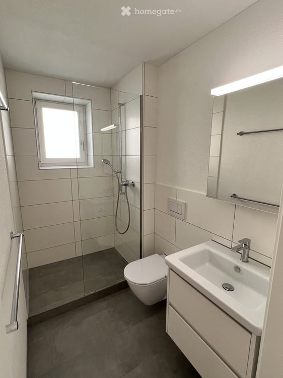 Terrace flat in Adliswil 7