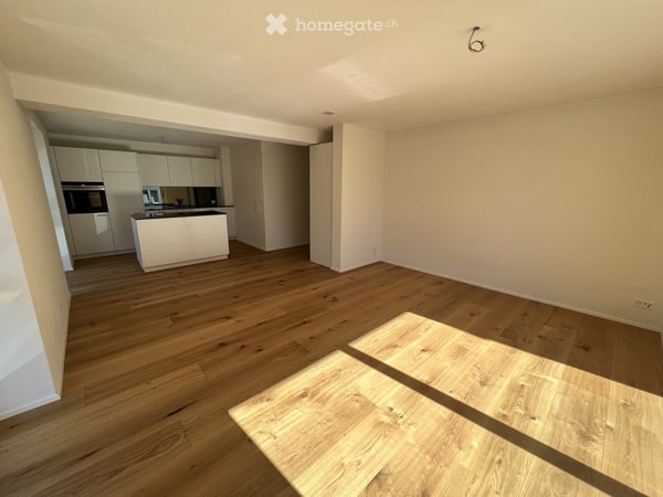 Terrace flat in Adliswil 4