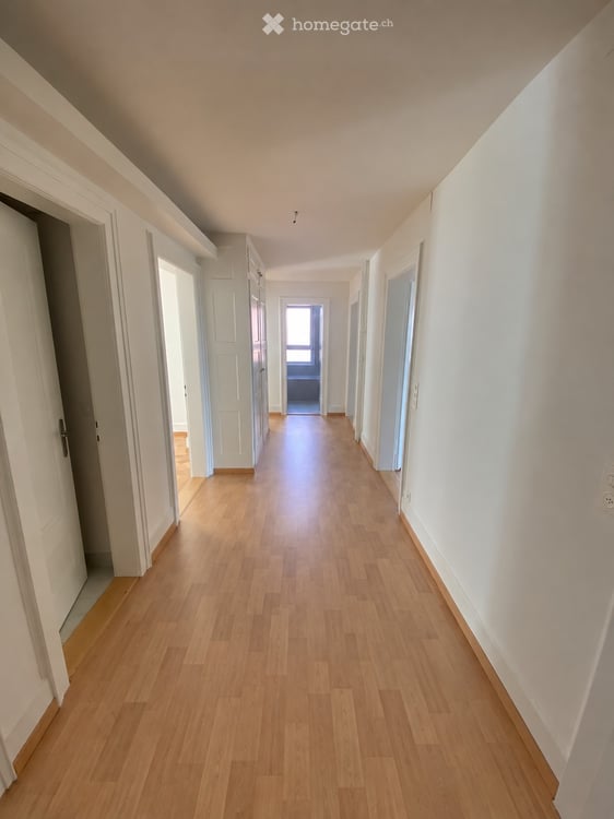 Kreis 7, Wohlfühl-Vibes mit Altbau-Charme im 1. Stock, privater Vermieter, im Moment in Renovation 4