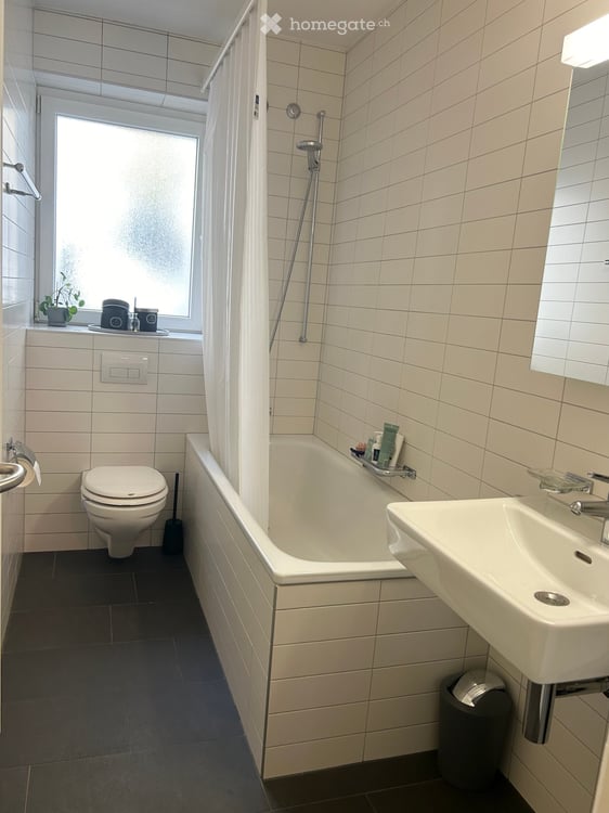 Furnished apartment for sublet in Zurich Seefeld | November–January 5