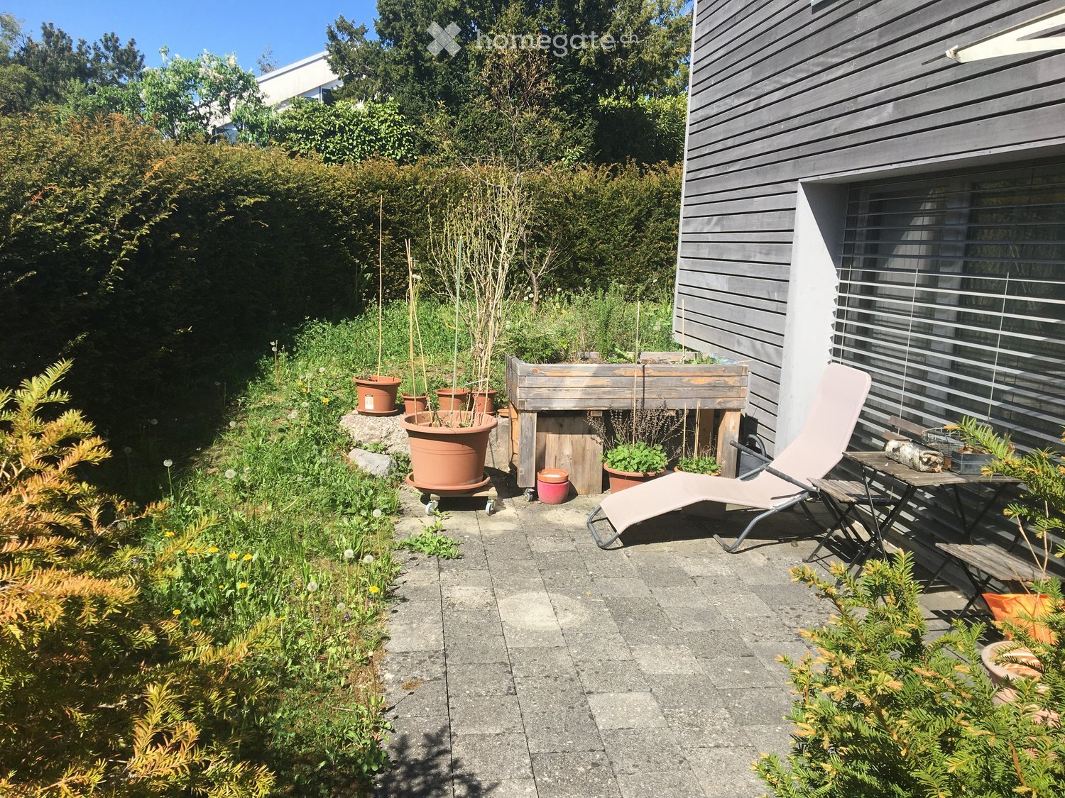 small patio garden with lawn, shrubs, and various potted plants; wooden chaise lounge and table with flower box