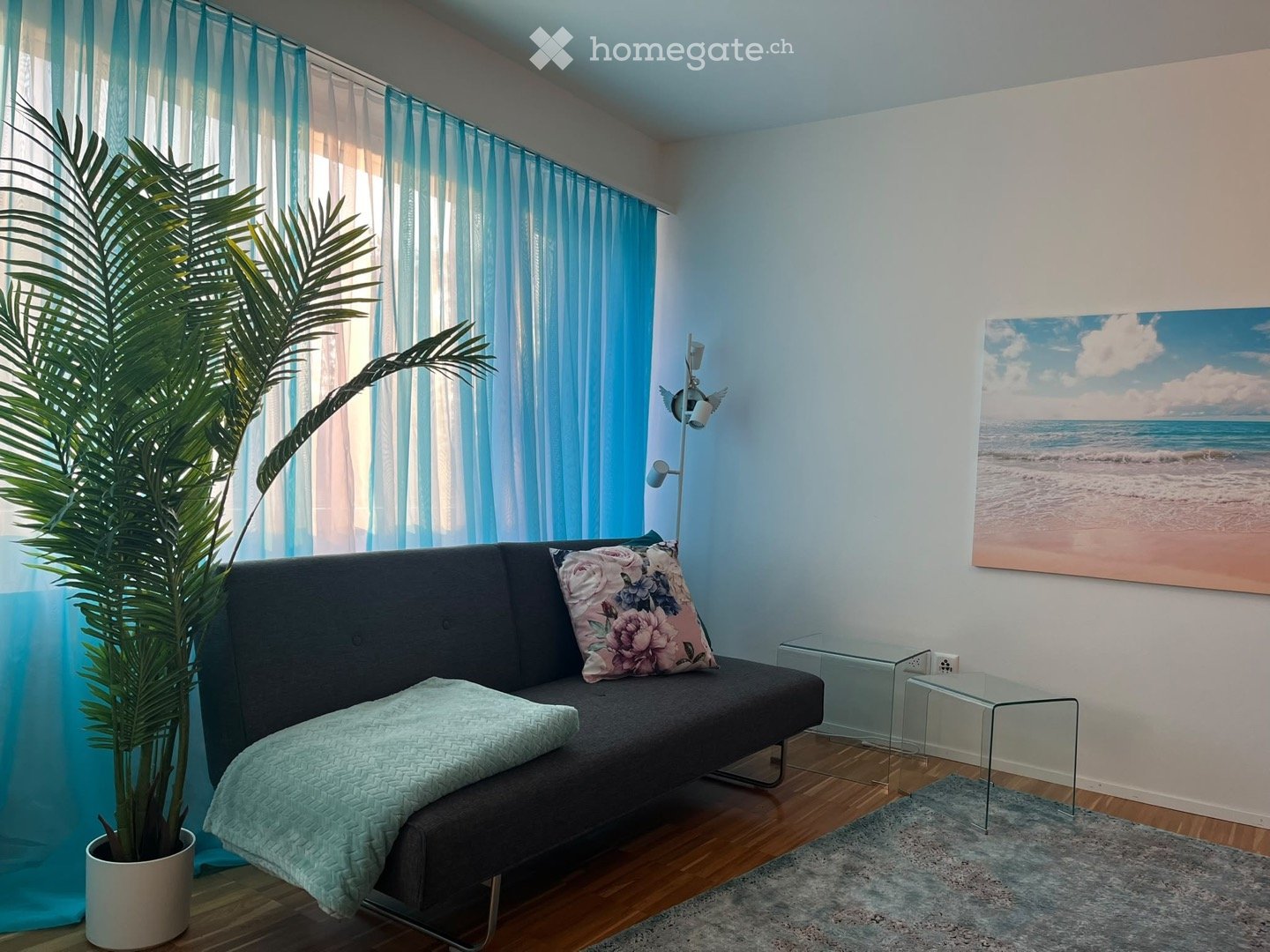 A modern living room with a grey sofa, decorative pillows, a small glass coffee table, a floor lamp, a large painting of a beach scene, and a potted plant near the window with blue curtains.