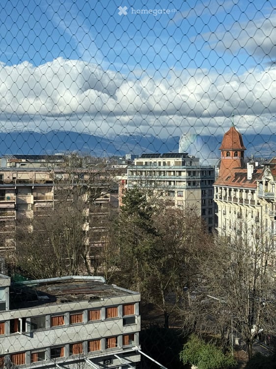 Appartement in Eaux-Vives, Genève - 2 Chambres - 4e Étage avec ascenseur 12