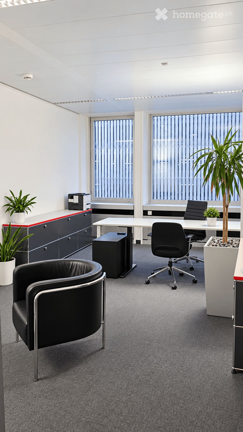 Modern office space with grey carpet, white walls, large windows, black office chairs, white table, cabinet, printer, and potted plants.