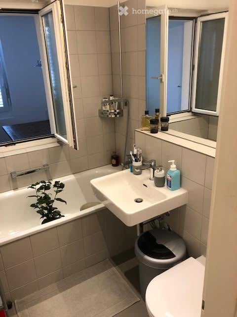 Charming bijoux apartment in Zurich Wipkingen 5