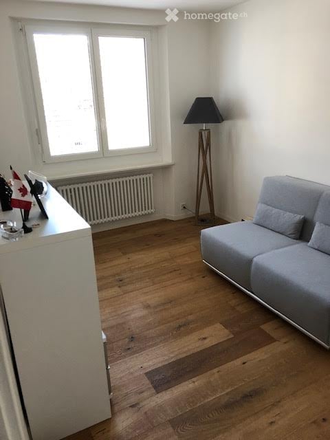 Charming bijoux apartment in Zurich Wipkingen 3