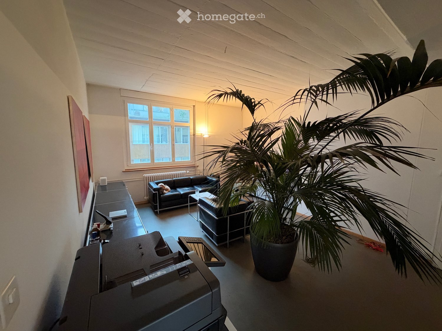 Modern living room with a large potted plant, black sofa, chair, small table, printer, and a TV screen on the wall.