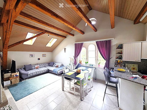 Grosszügige 4.5-Zimmer-Wohnung mit Cheminée in Winterthur-Seen