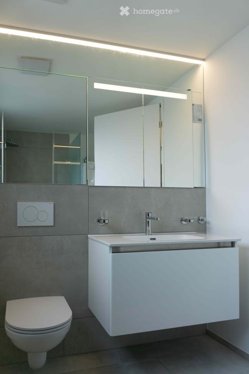 Moderne Attikawohnung mit grosszügigen Terrassen in Zürich-Wollishofen 3