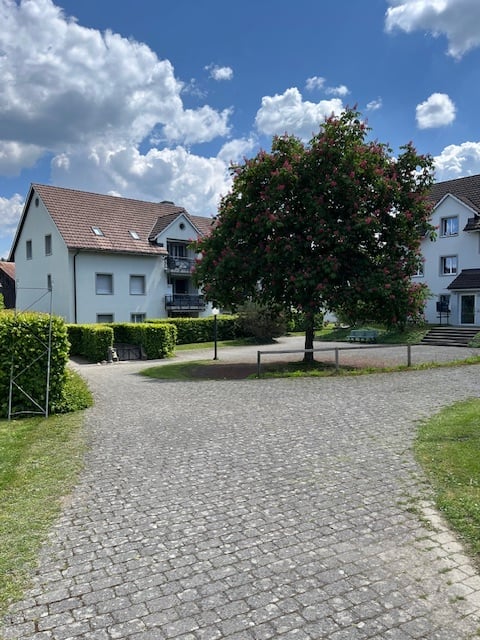 two-story building, paved driveway, fenced green garden, large tree, green bushes