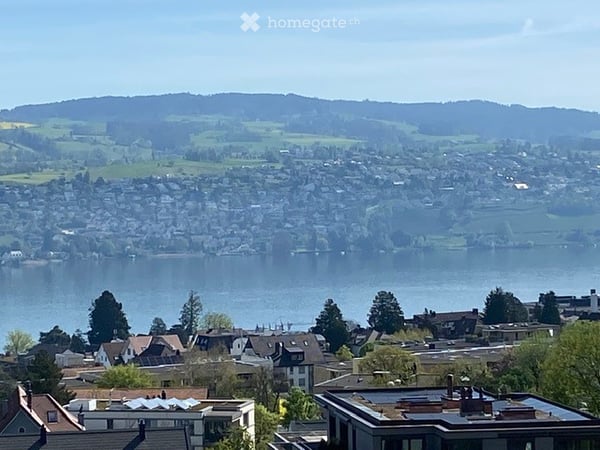 4,5 Zimmer Attikawohnung in Thalwil mit Seesicht und hohem Eigentumsstandard / Baujahr 2024 5