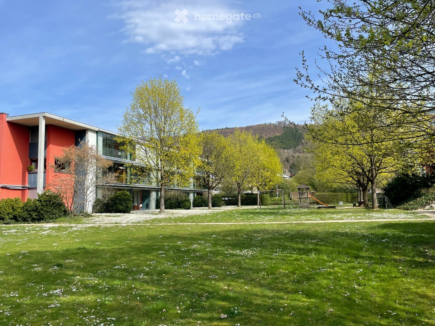 Lush green lawn with scattered white flowers, surrounded by trees and shrubs, with a modern building in the background featuring balconies and large windows.