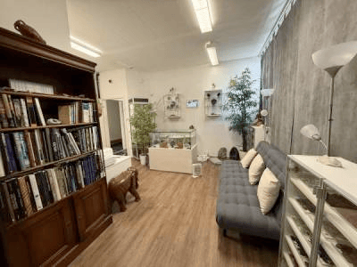 A cozy, well-lit room with a grey sofa, wooden bookshelf, small table, and decorative plants.