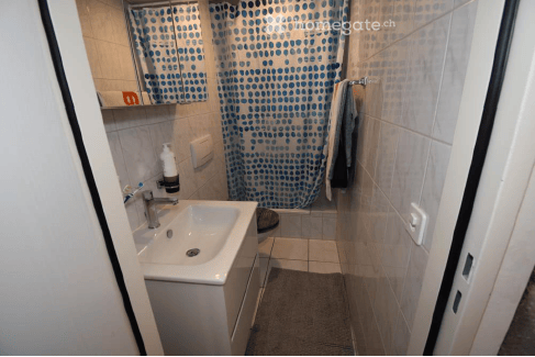 Duplex-/Maisonette-Wohnung in Muttenz 13