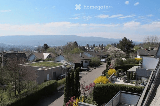 Luxury 7½-Room Family Home in Oberwil | Premium Finishes (direct from owner) 5