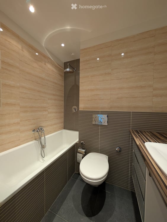 Appartement de charme avec balcon – Genève Servette 7