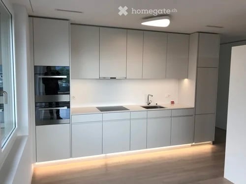 Neuwertige Gartenwohnung in Zürich-Höngg 6
