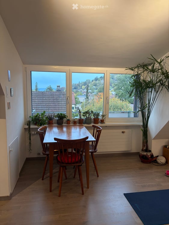 Wunderschöne Dachwohnung in Winterthur Veltheim ab 13.November 5