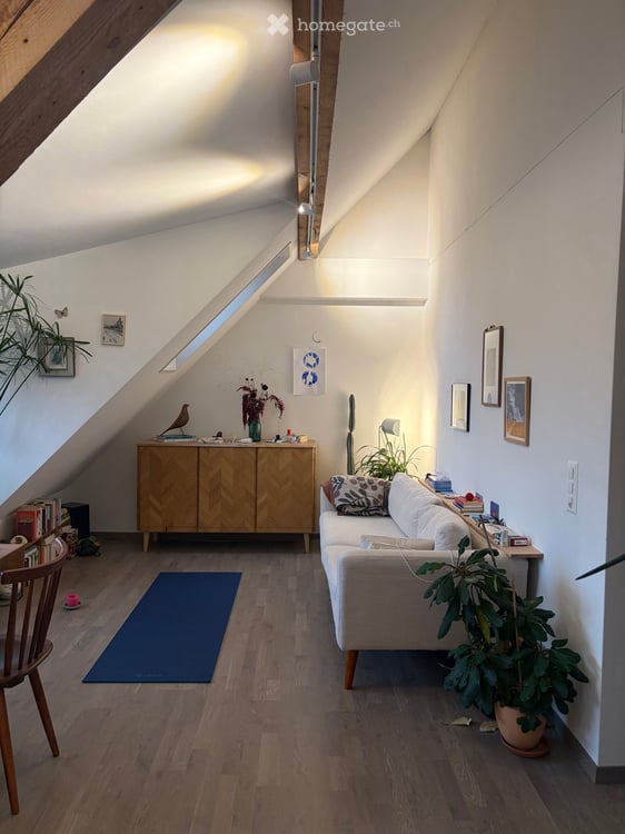 Wunderschöne Dachwohnung in Winterthur Veltheim ab 13.November
