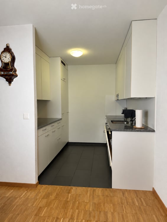 Helle 2.5-Zimmer-Wohnung mit 2 Balkonen in Zürich-Leimbach 1
