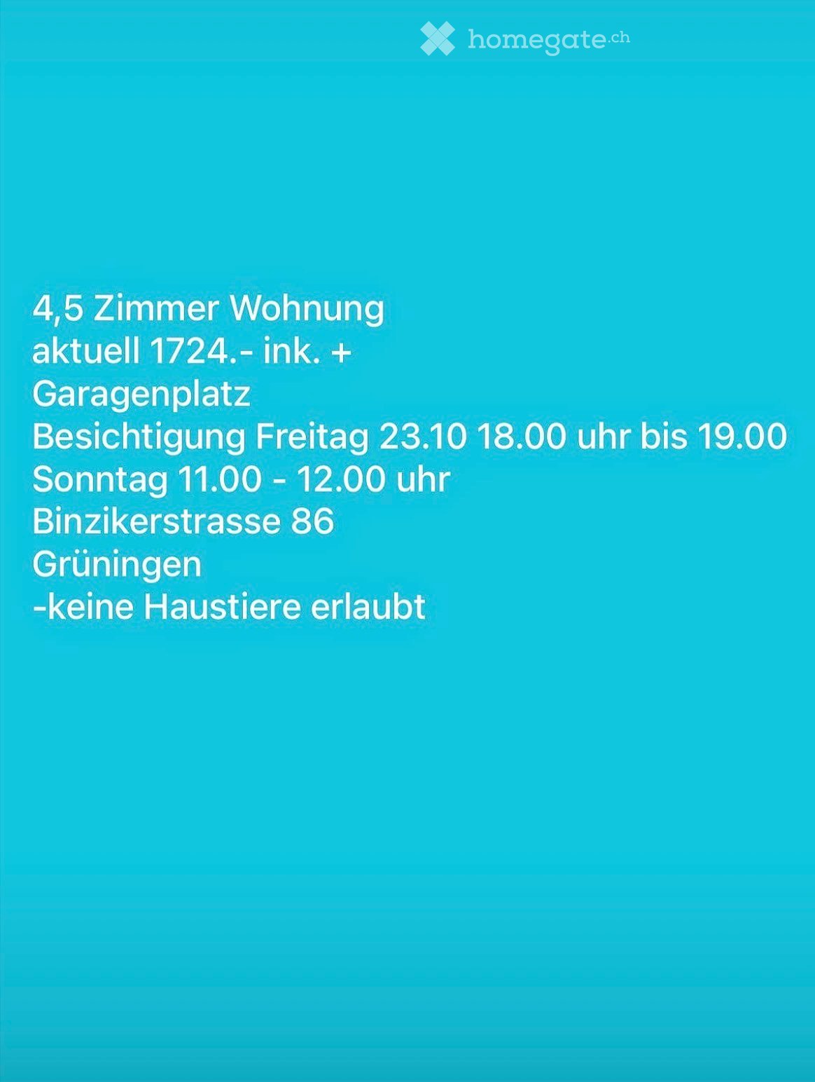 Advertisement for a 4.5-room apartment with a parking space, viewing times on Friday and Sunday, located at Binzikerstrasse 86, Grüningen, no pets allowed.