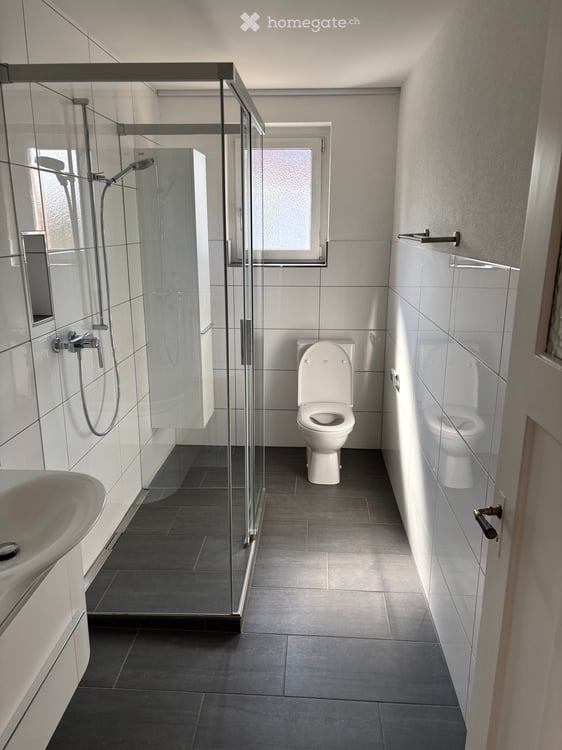 Grosse 4.5-Zimmer-Wohnung mit schönem Garten und Swimming-Pool 9