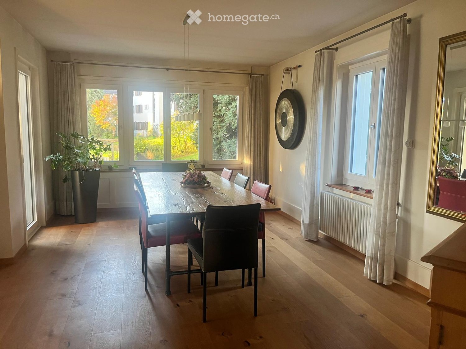 Bright dining room with wooden floor, large windows, dining table with chairs, flower arrangement, mirror, and a large plant in the corner.