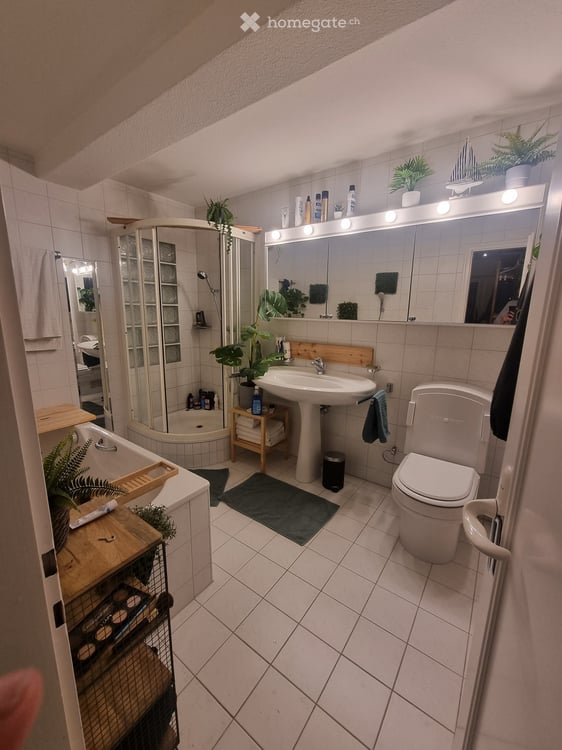 Traumhafte 5-Zimmer-Wohnung mit Seeblick in Luzern 6