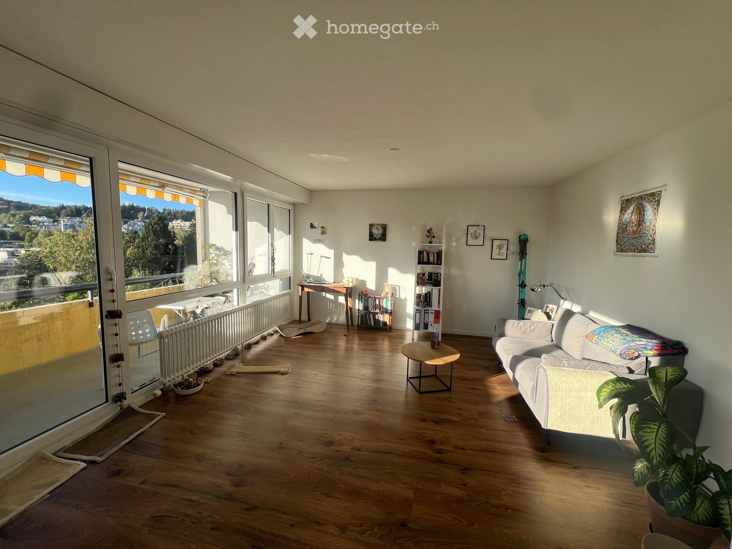Bright living room with wooden flooring, large windows offering a scenic view, a white sofa, coffee table, small table, bookshelf, and a potted plant.