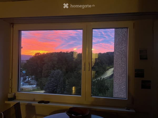 Wunderschöne, helle, möblierte 2-Zimmer Wohnung in Höngg 4
