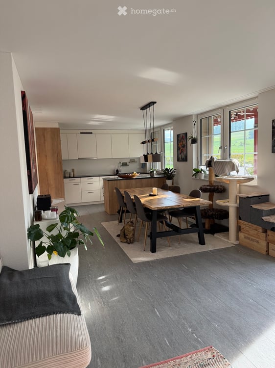 Schöne grosse Wohnung sucht neuen Mieter 4