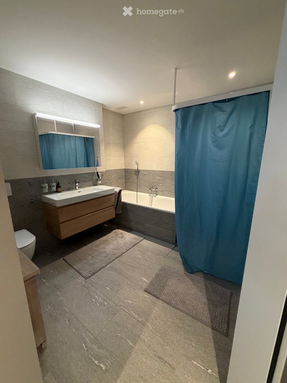 Schöne grosse Wohnung sucht neuen Mieter 7