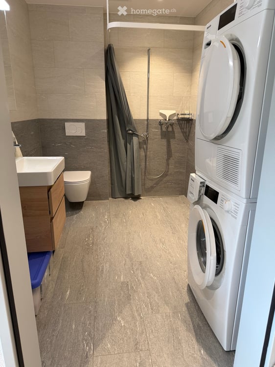 Schöne grosse Wohnung sucht neuen Mieter 6