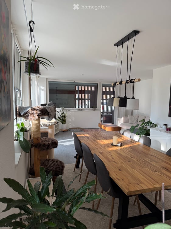 Schöne grosse Wohnung sucht neuen Mieter 3