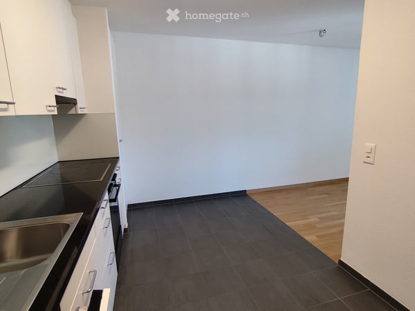 Urbanes Wohnen in Luzern 2