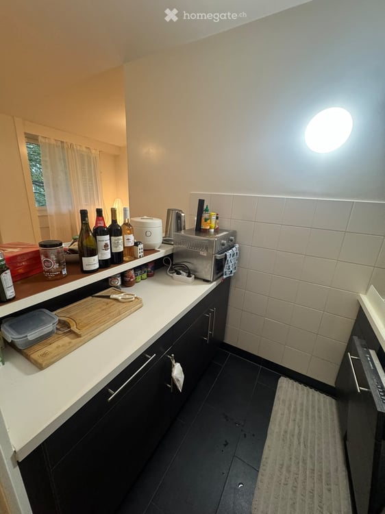 Charming Apartment in Eaux-Vives – Available November 1, 2026 5