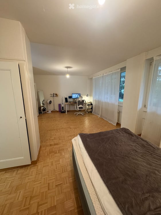 Charming Apartment in Eaux-Vives – Available November 1, 2026 3