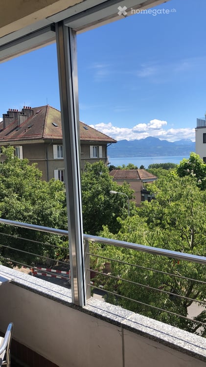 Magnifique appartement de 2.5 pièce avec terrasse plein sud et vue sur le lac 2