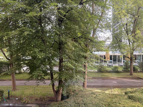Spacious room with private bathroom in a large 5.5-room shared apartment — only one flatmate 5