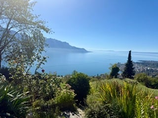 A scenic garden area overlooking a vast lake and distant mountains, with lush greenery and a clear blue sky.