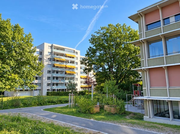 5.5-Zimmer-Wohnung mit See- und Weitsicht im familienfreundlichen Herti-Quartier in Zug 17