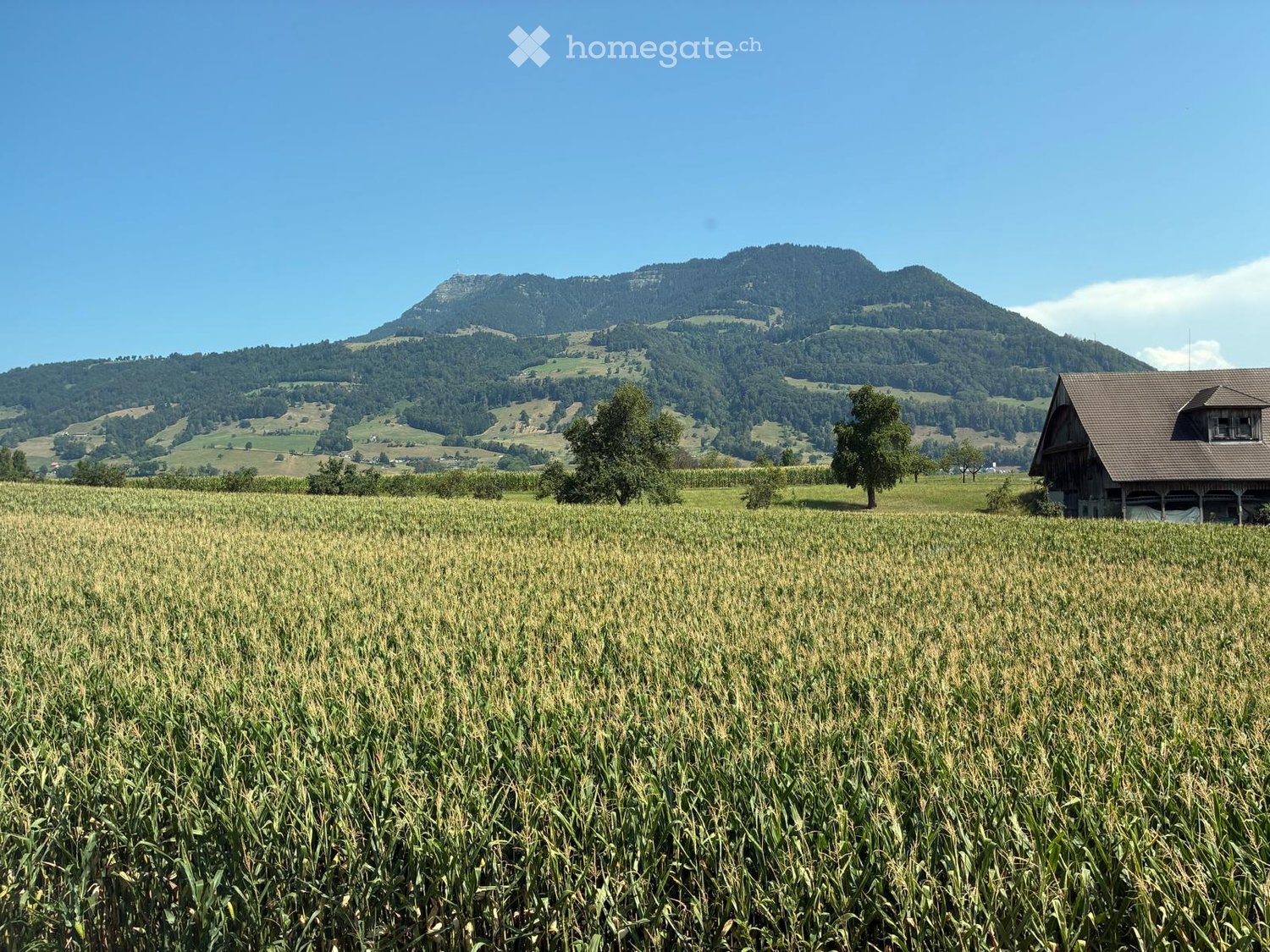 A rural landscape with a cornfield in the foreground, a wooden house on the right, and a mountain range in the background.